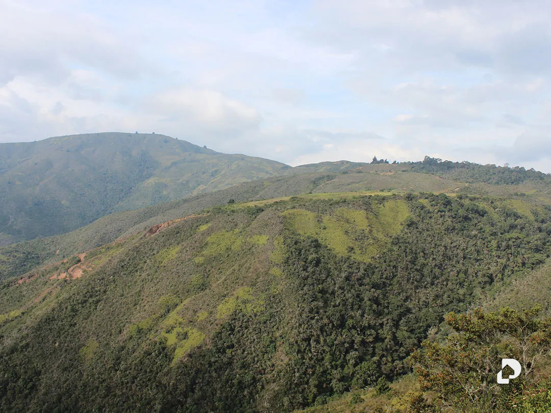 Farm in Vía Pueblos Del Sur, Los Joques – 4