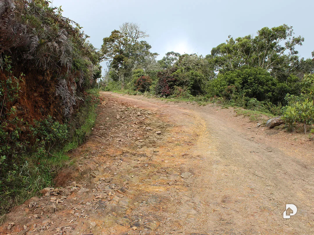 Farm in Vía Pueblos Del Sur, Los Joques – 15