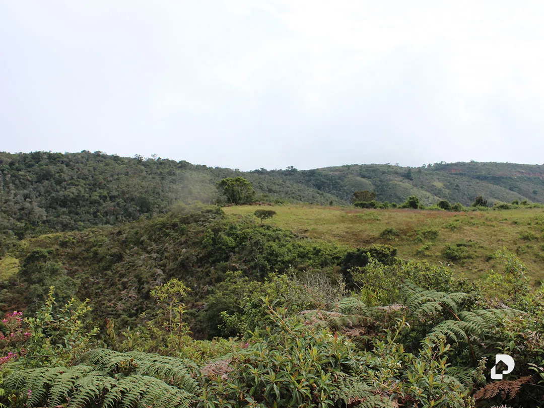 Farm in Vía Pueblos Del Sur, Los Joques – 23