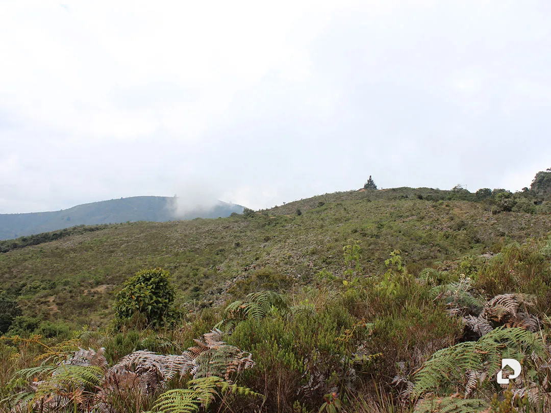 Farm in Vía Pueblos Del Sur, Los Joques – 22