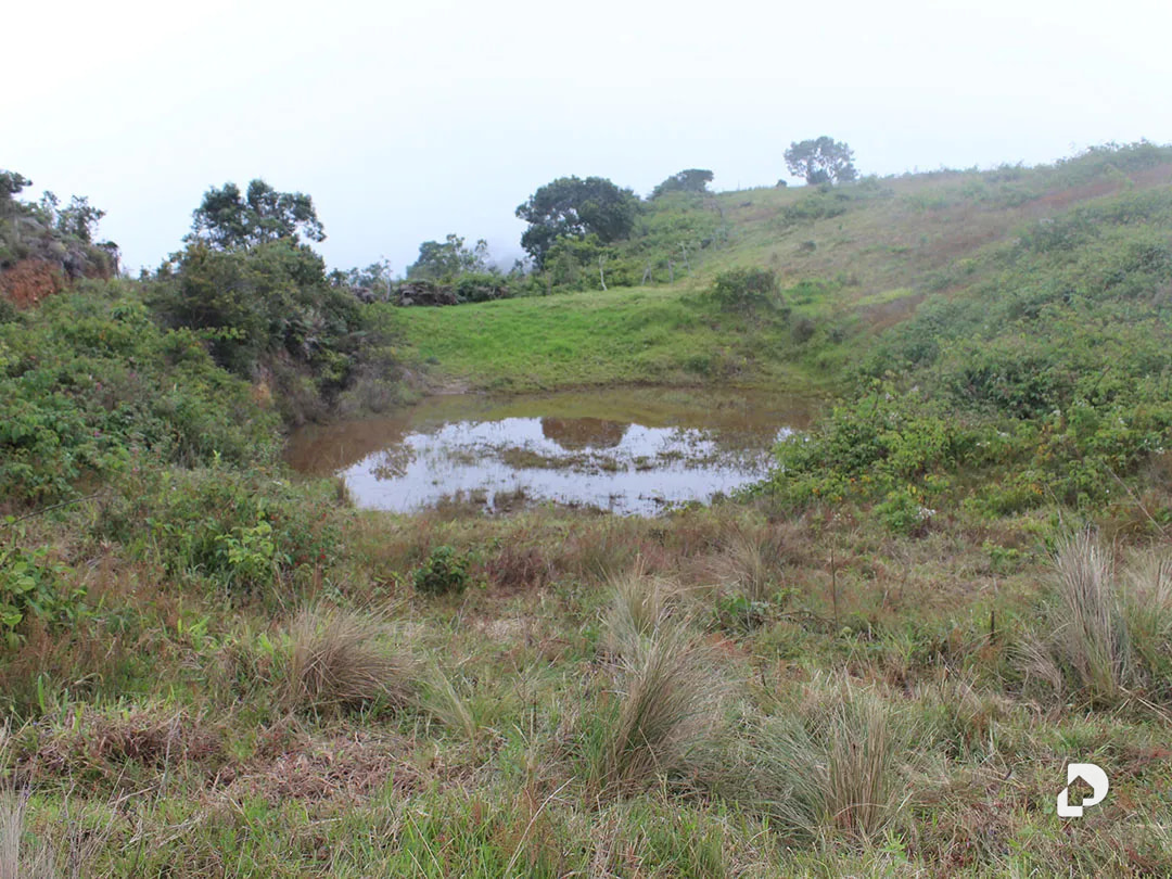 Farm in Vía Pueblos Del Sur, Los Joques – 27