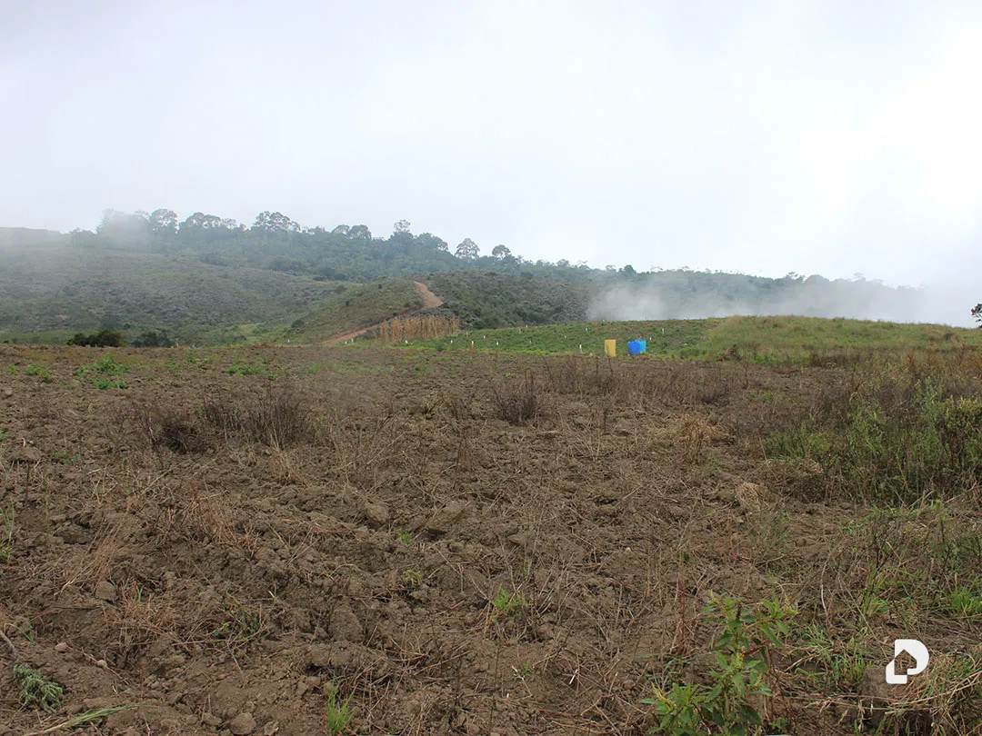 Farm in Vía Pueblos Del Sur, Los Joques – 26