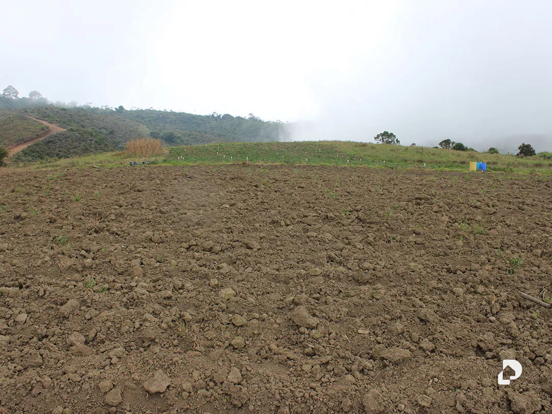 Farm in Vía Pueblos Del Sur, Los Joques – 25