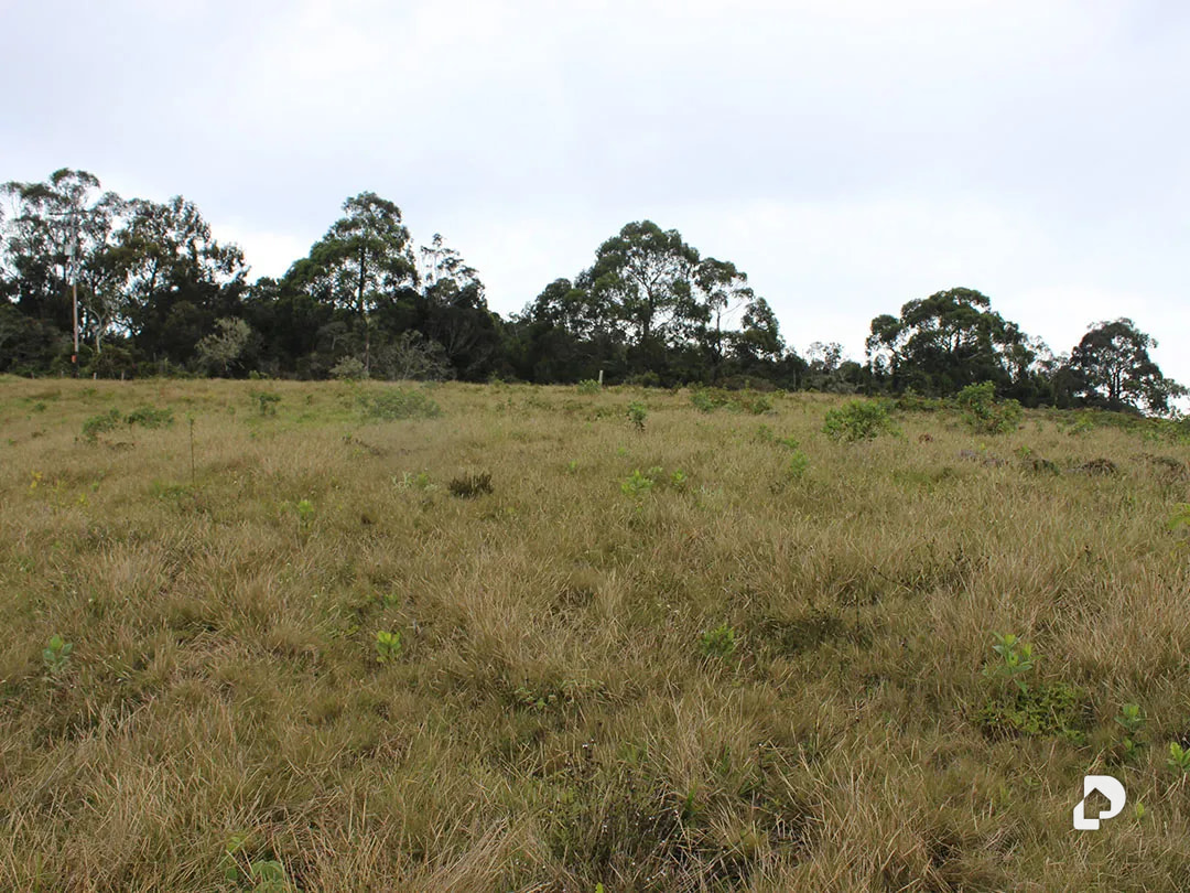 Farm in Vía Pueblos Del Sur, Los Joques – 13
