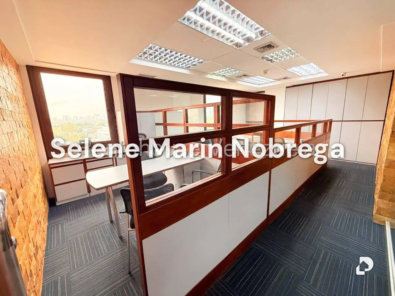 Office in Los Ruices, Caracas – 25