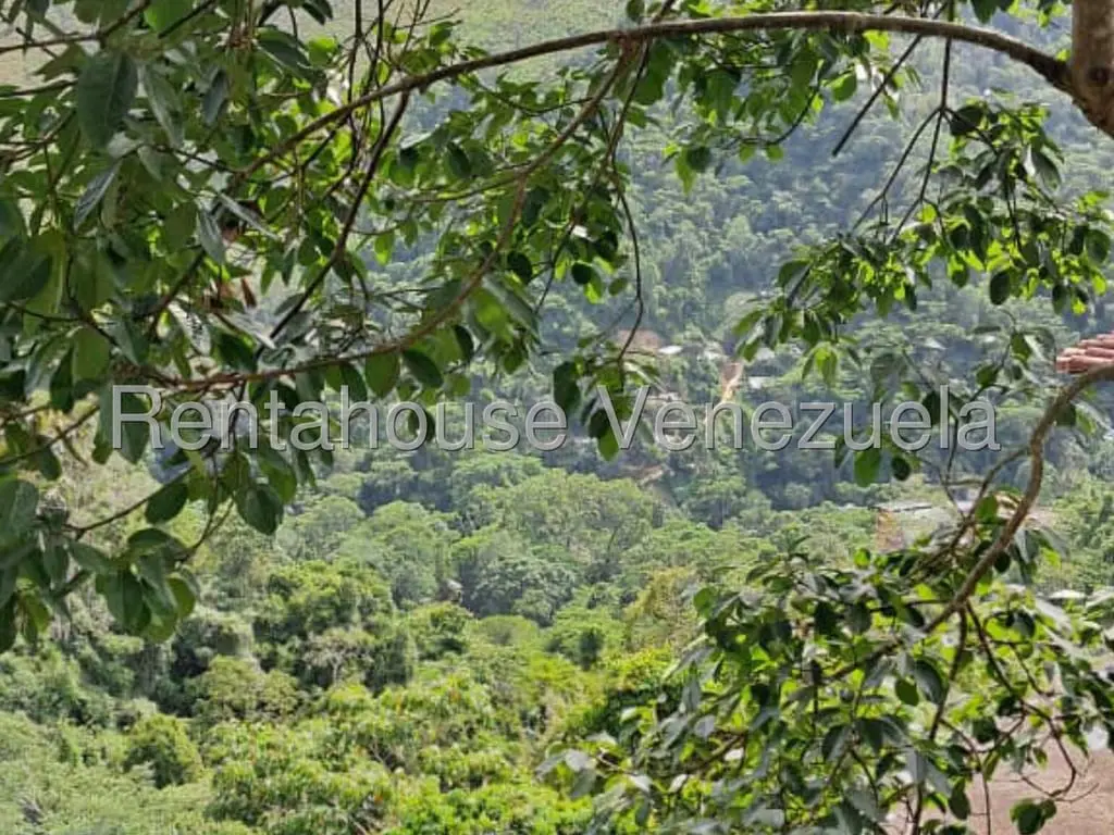 Land in El Hatillo, Caracas - 1