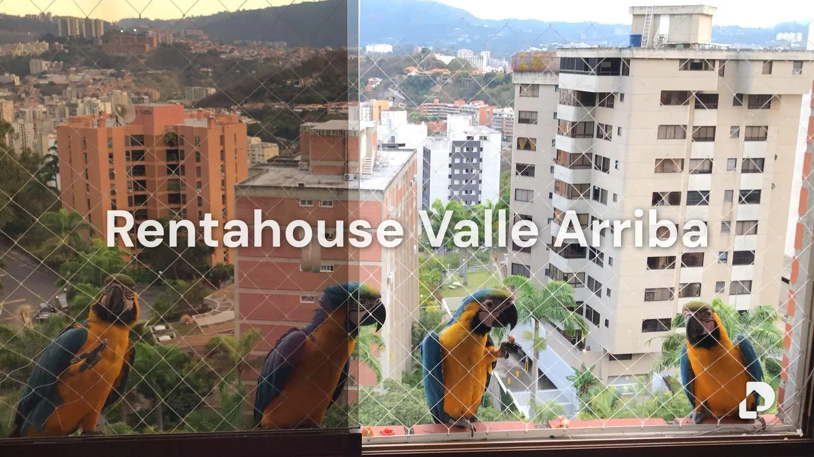 Apartamento en La Alameda, Caracas – 21