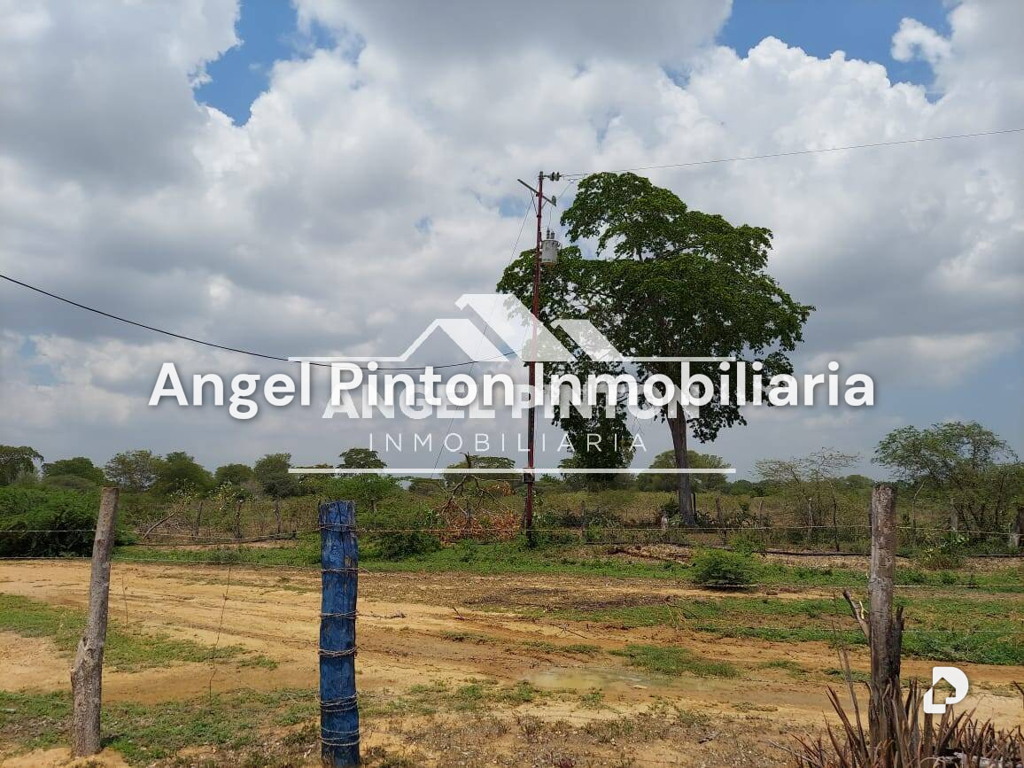 Finca en Maracaibo – 15