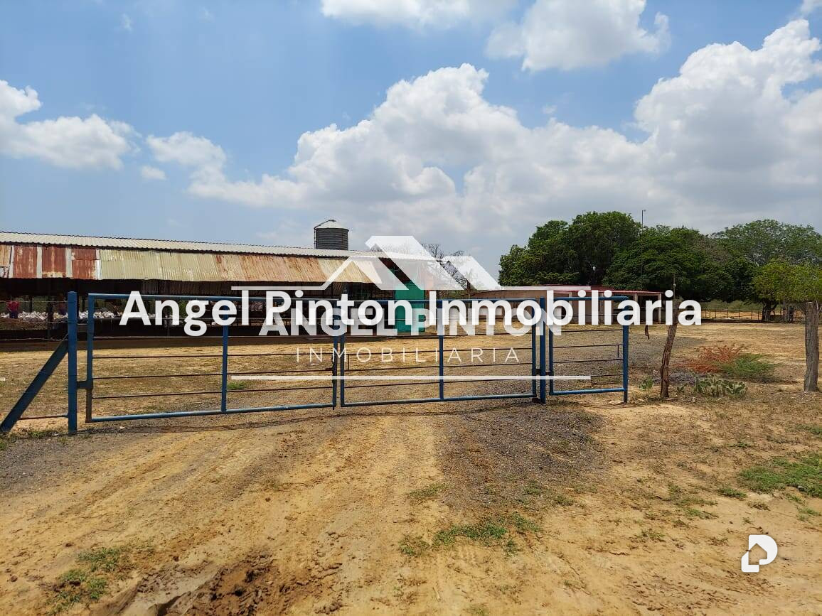 Finca en Maracaibo – 18