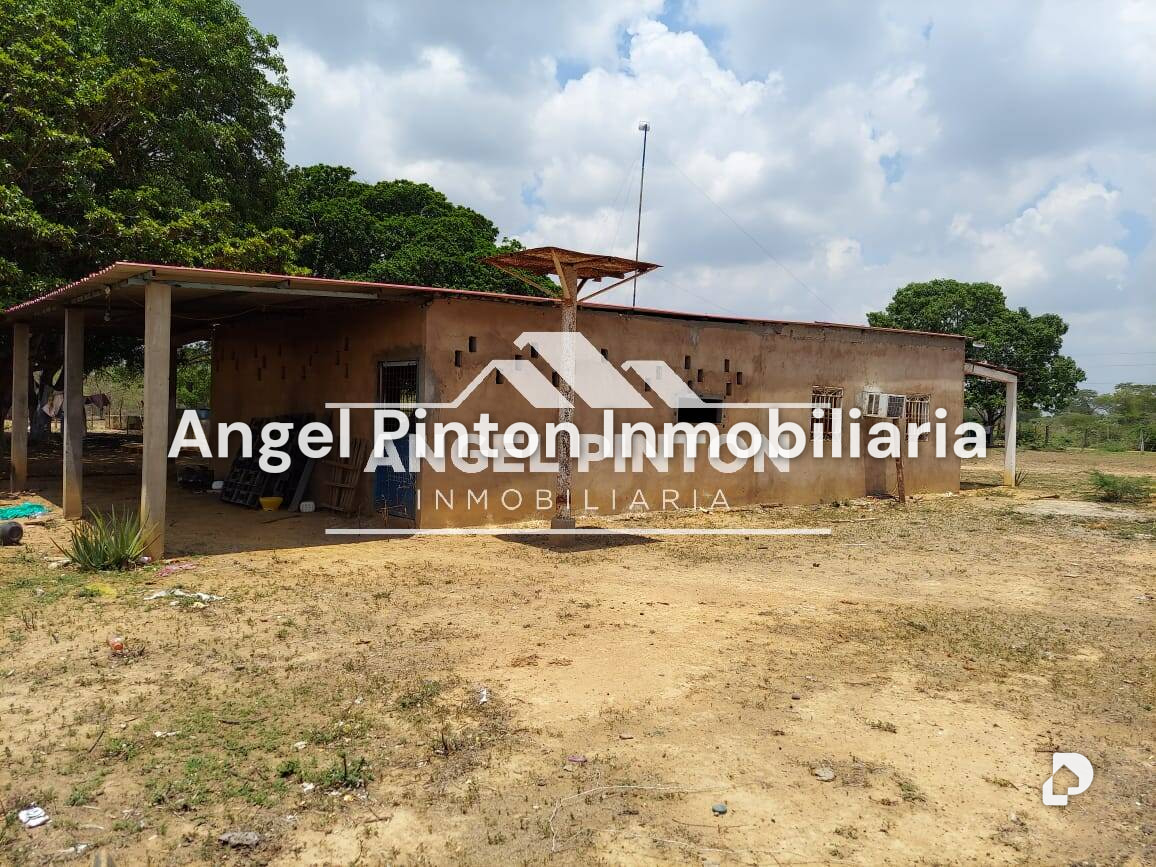 Finca en Maracaibo – 17