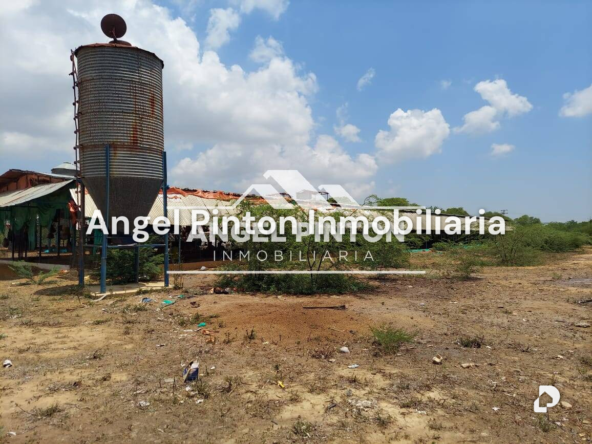 Finca en Maracaibo – 10