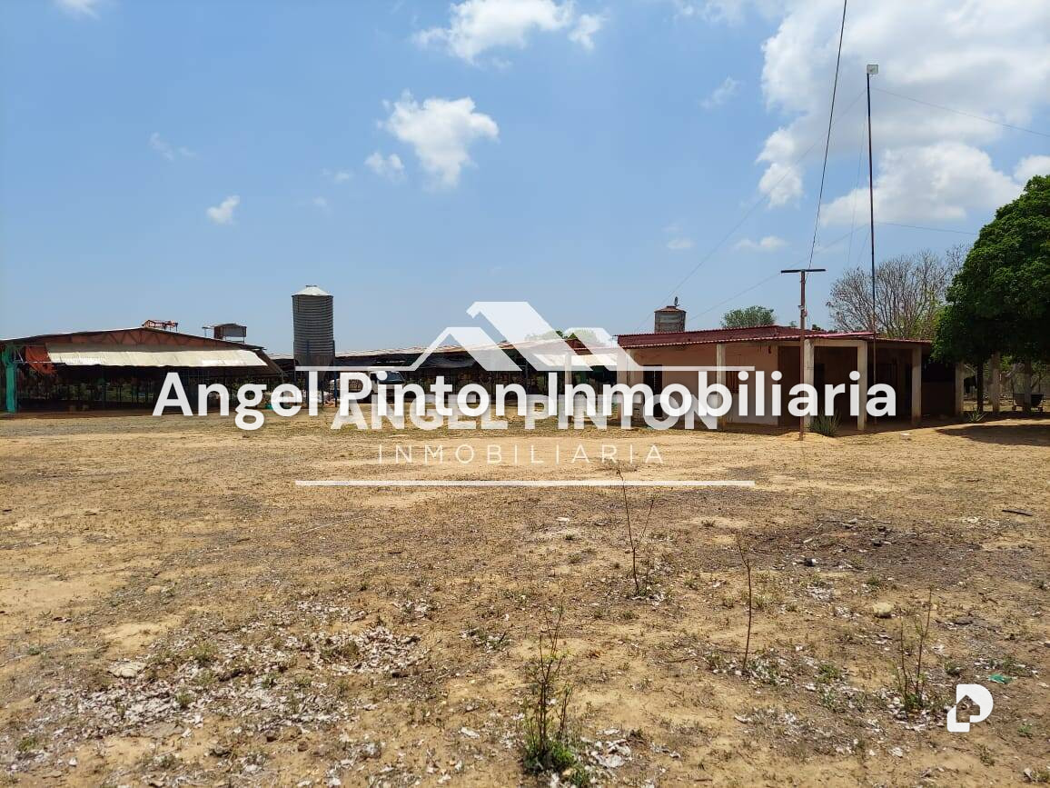 Finca en Maracaibo – 9