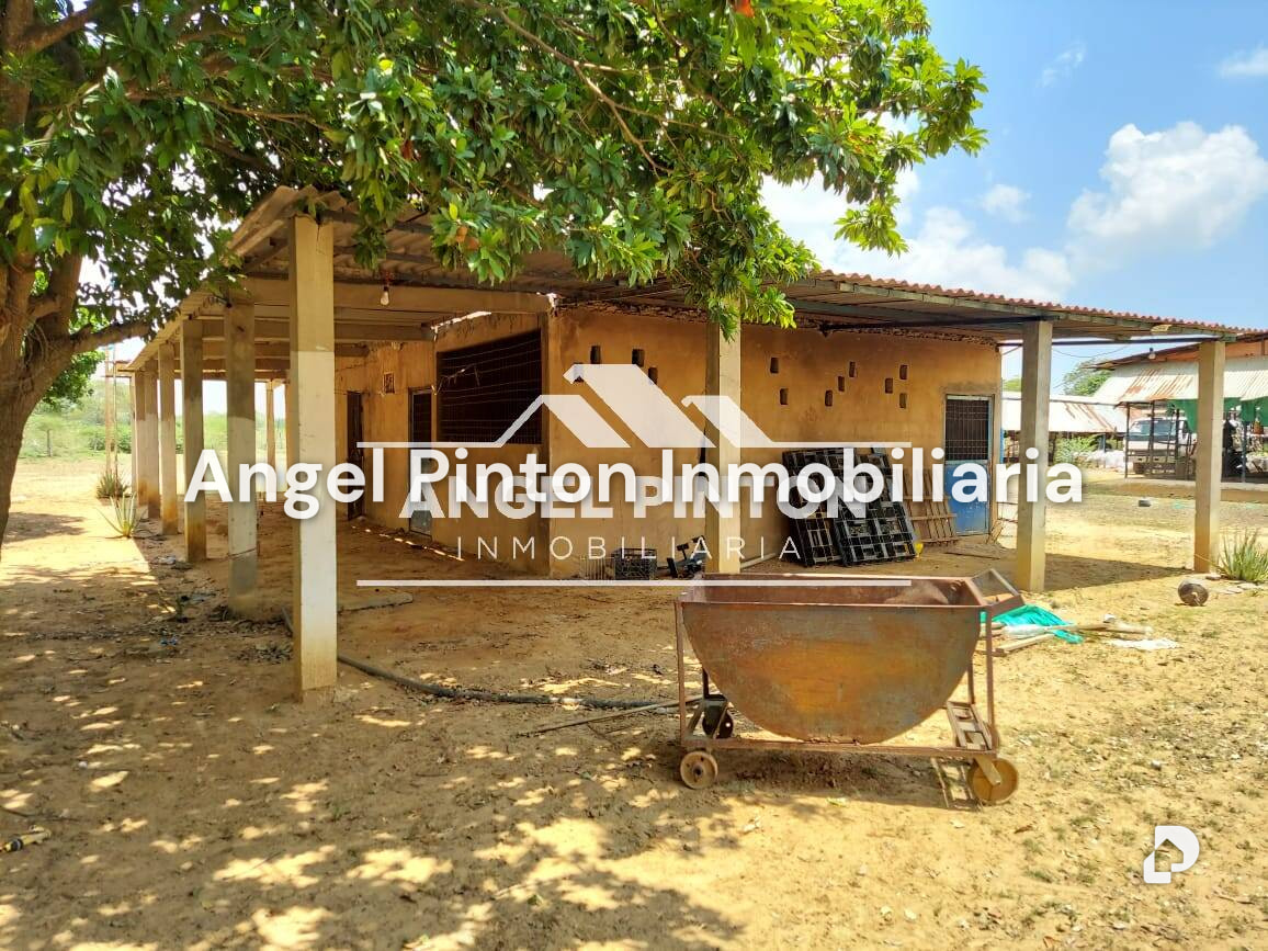 Finca en Maracaibo – 7