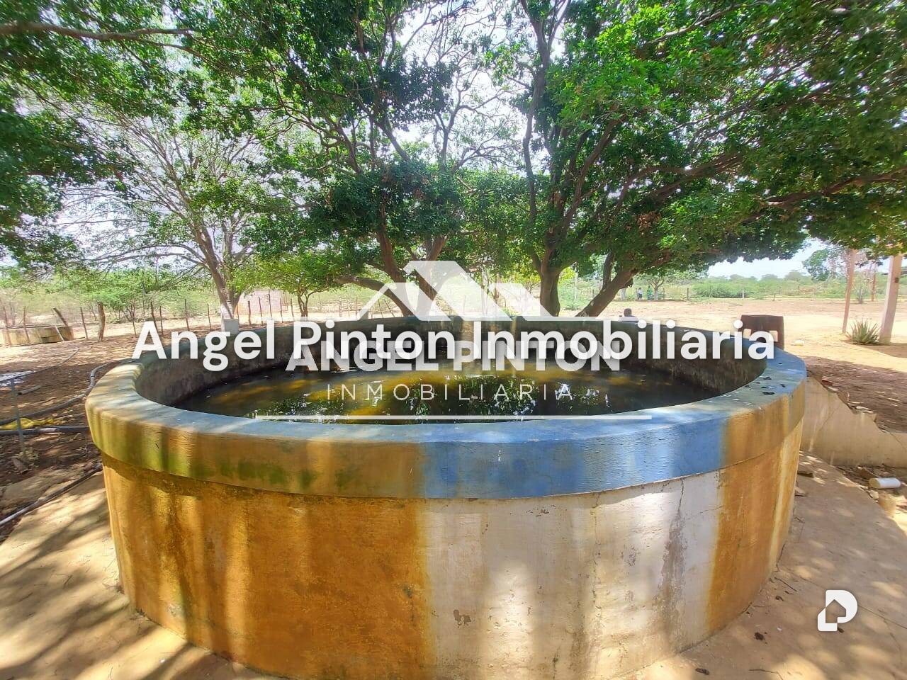 Finca en Maracaibo – 13