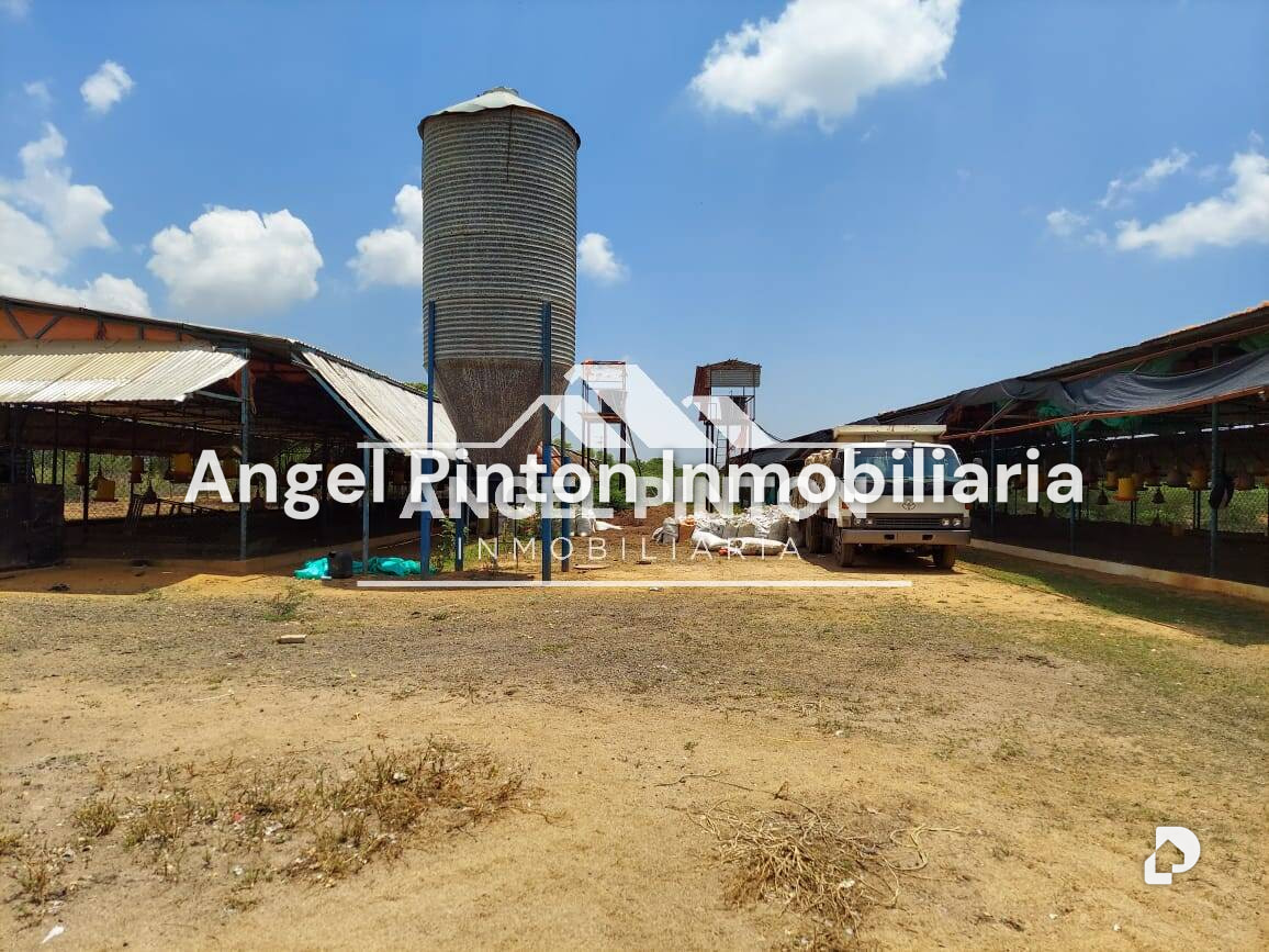 Finca en Maracaibo – 6