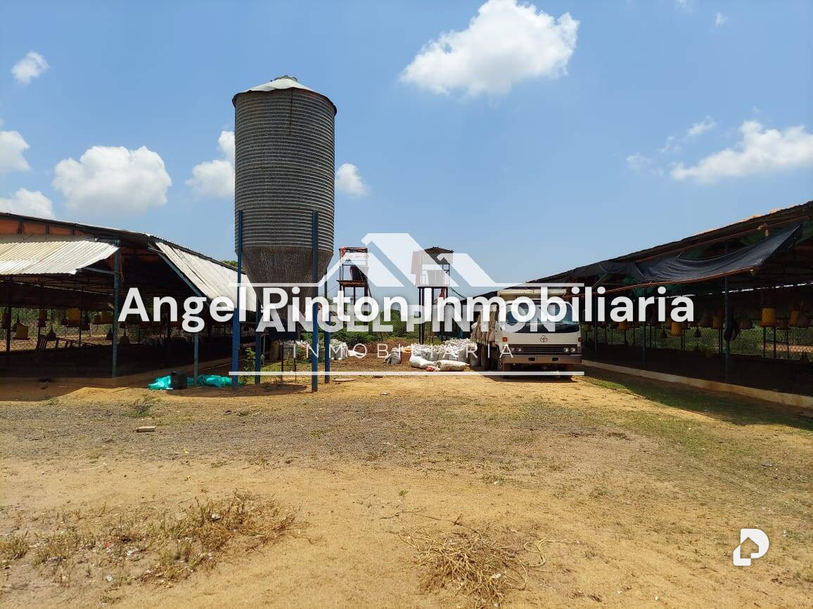 Finca en Maracaibo – 20