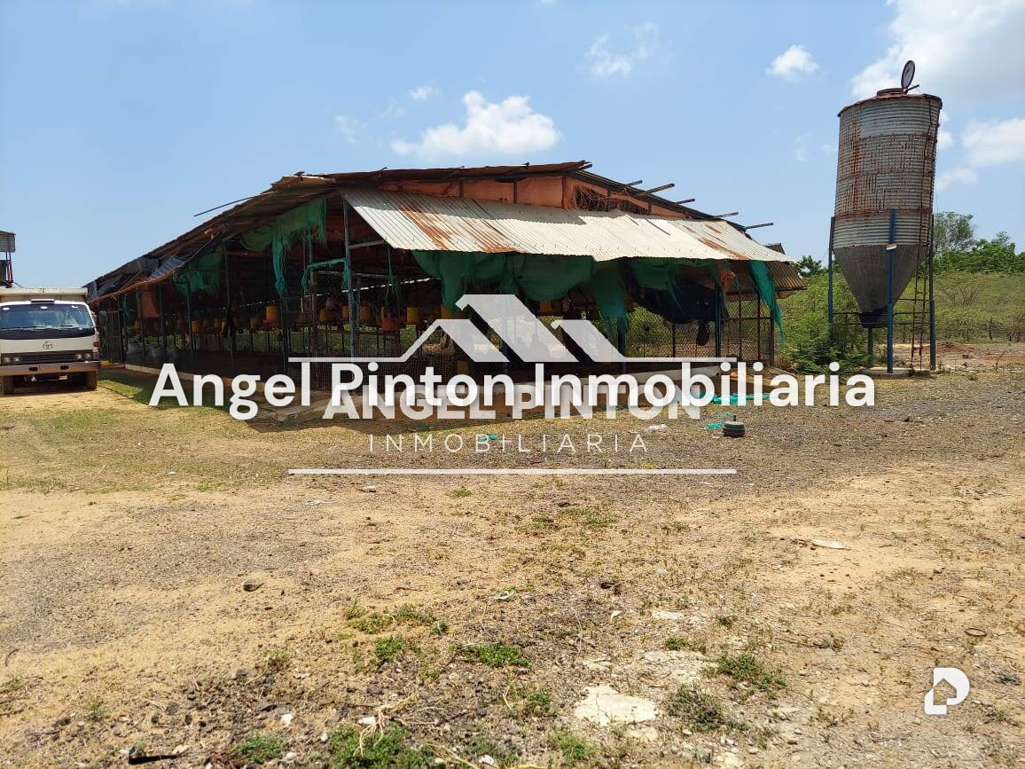 Finca en Maracaibo – 12