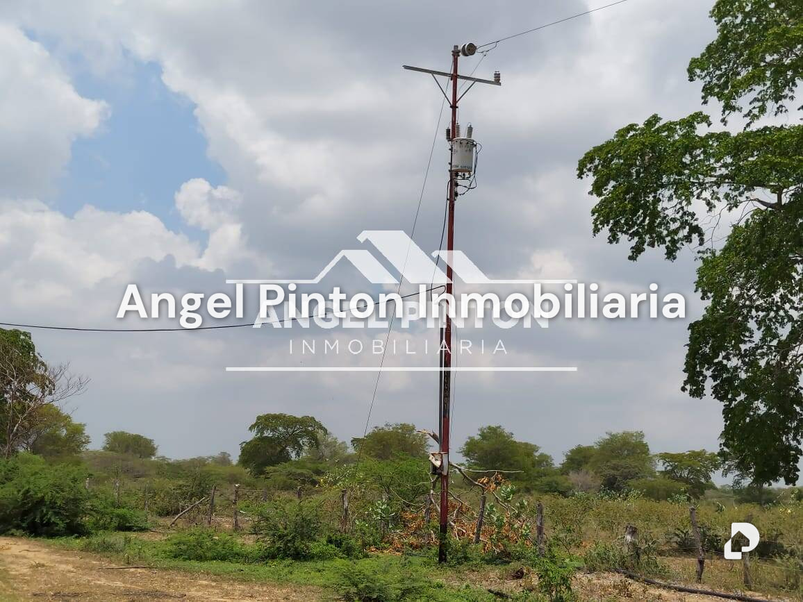 Finca en Maracaibo – 21