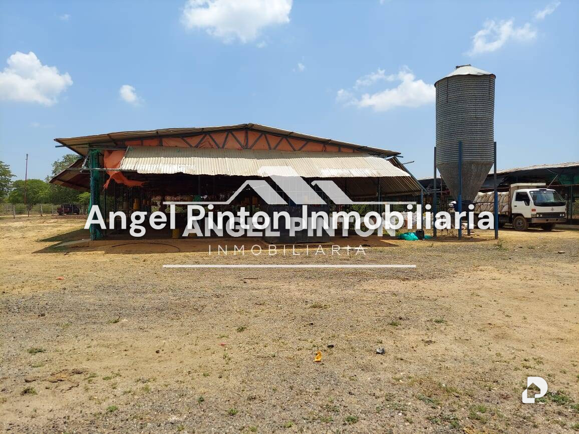 Finca en Maracaibo – 8