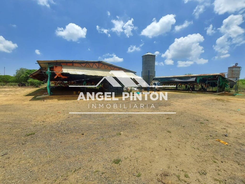 Finca en Maracaibo - 1