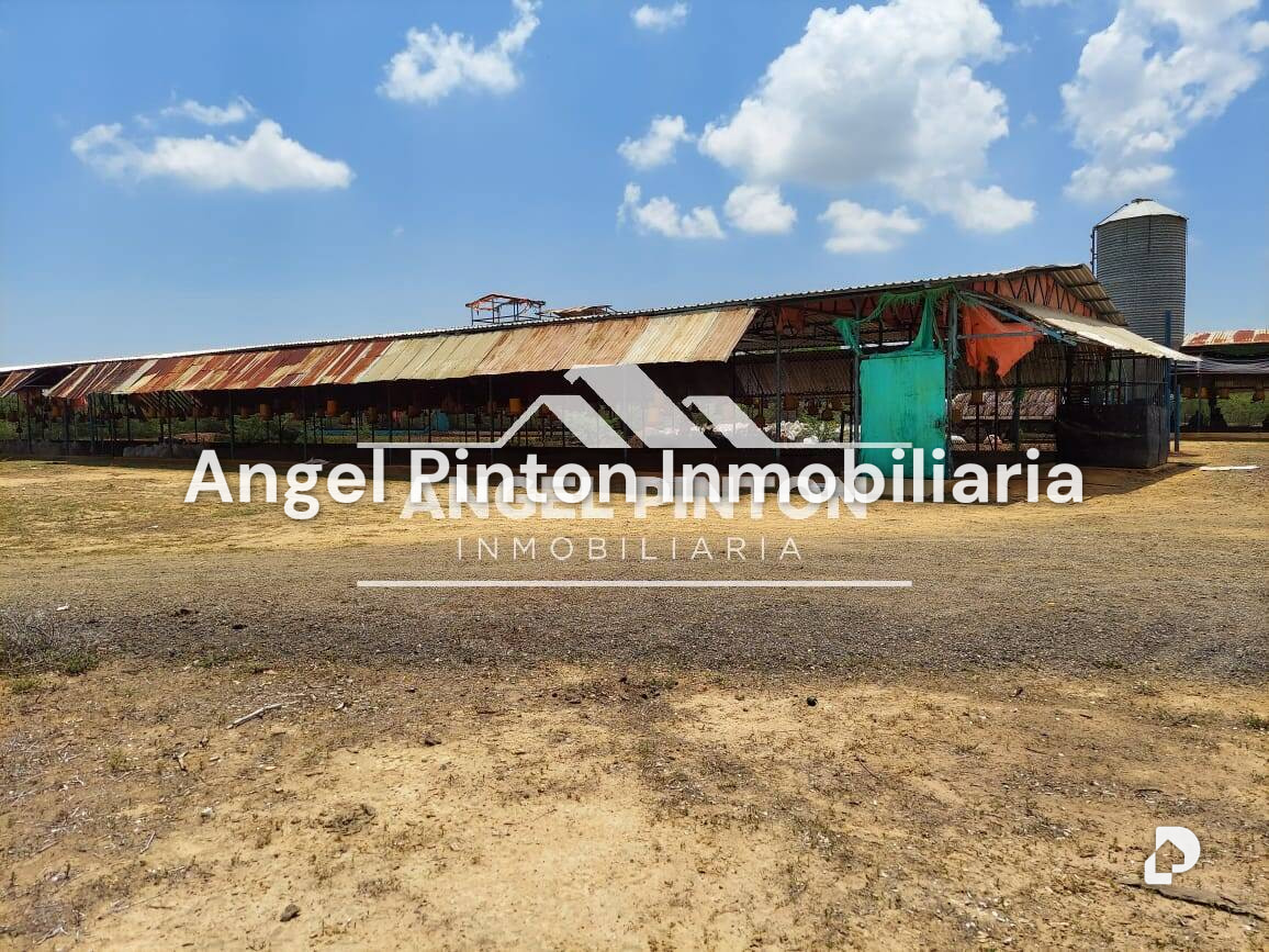 Finca en Maracaibo – 14