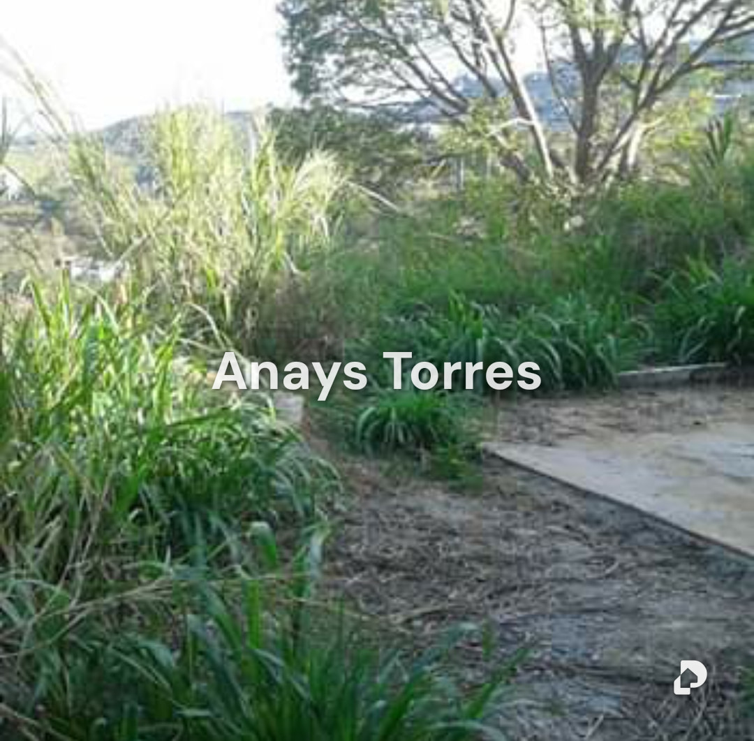 Terreno en Potrerito, Altos Mirandinos – 2