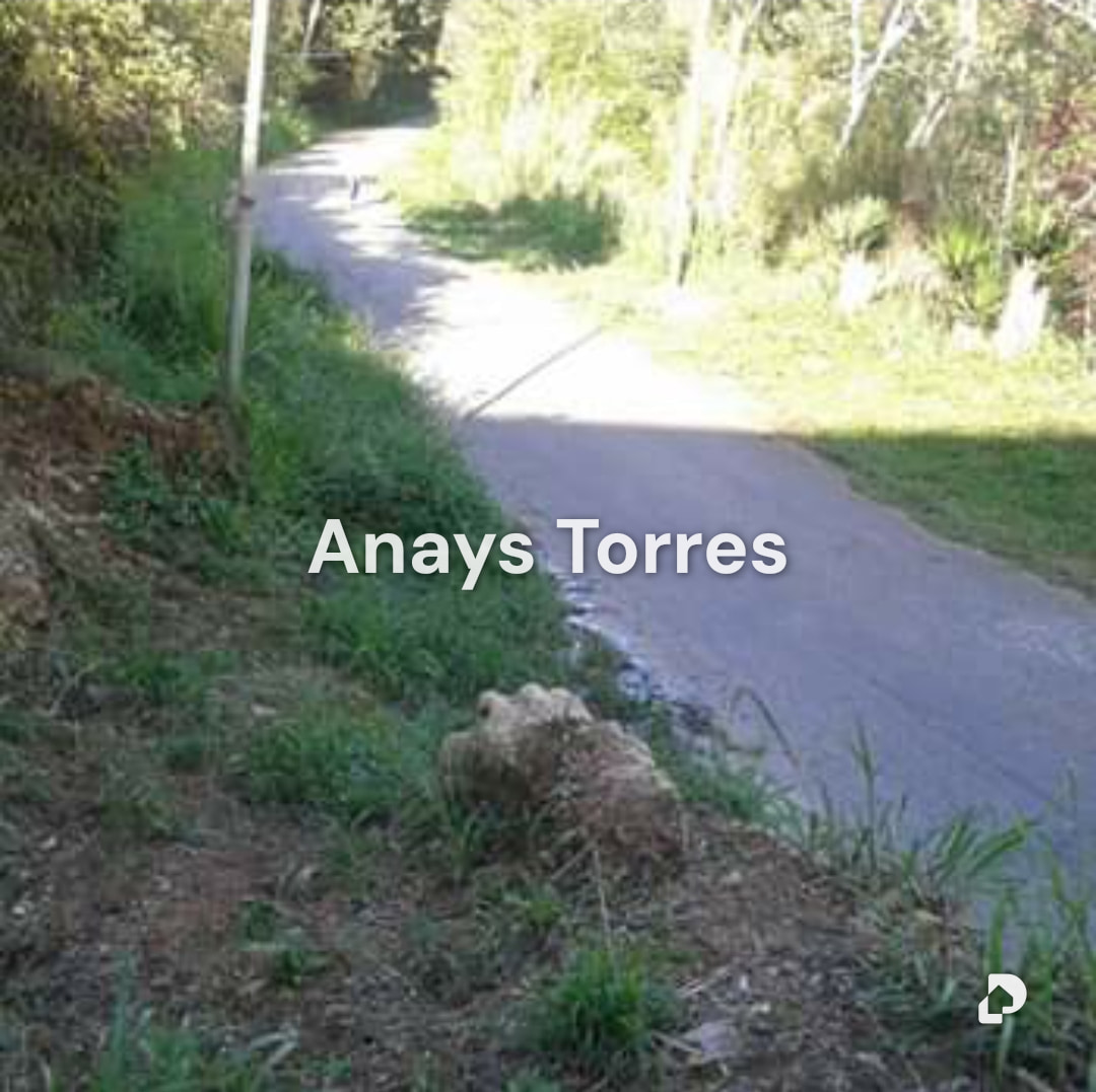 Terreno en Potrerito, Altos Mirandinos – 6