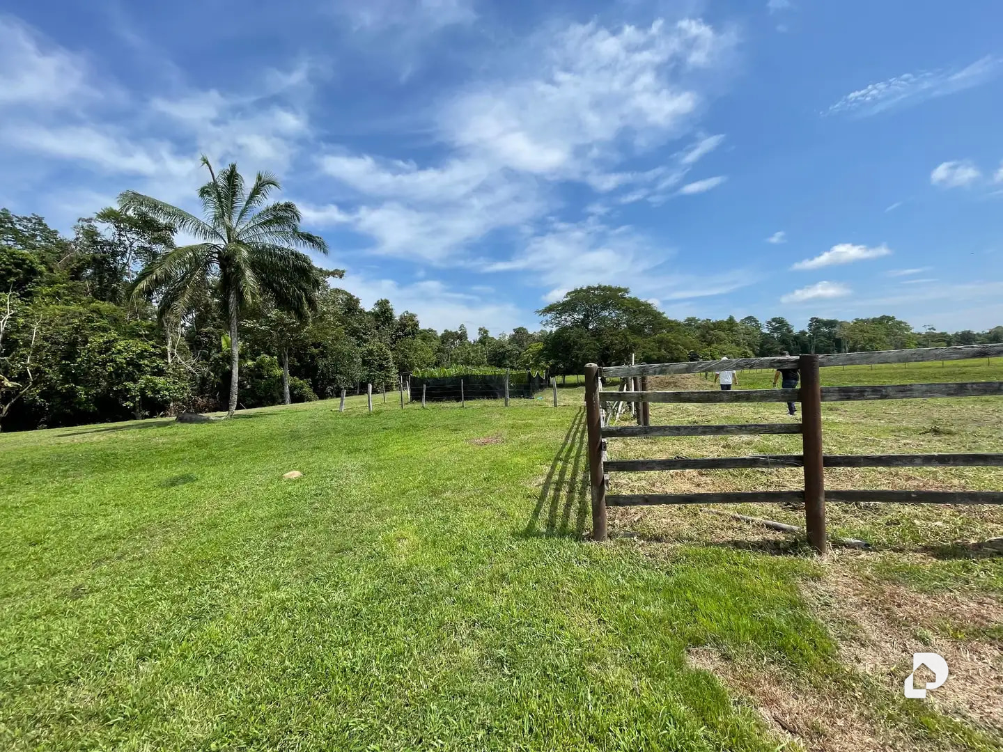 Finca en Caño Motilón, El Guayabo – 12