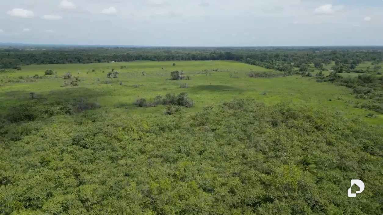 Finca en Caño Motilón, El Guayabo – 3