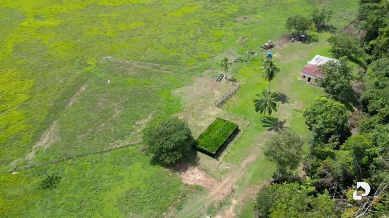 Finca en Caño Motilón, El Guayabo – 6