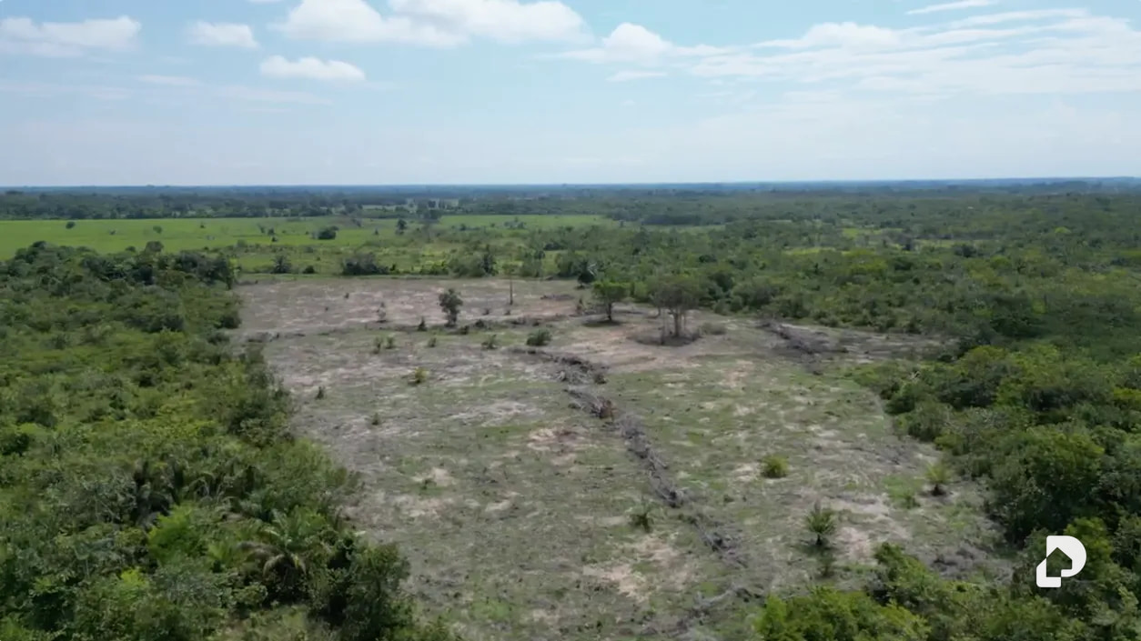 Finca en Caño Motilón, El Guayabo – 10