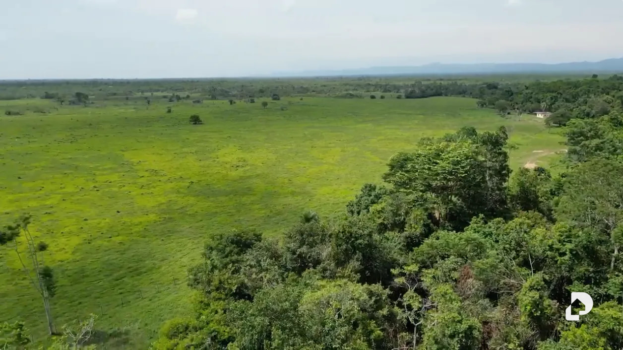 Finca en Caño Motilón, El Guayabo – 4