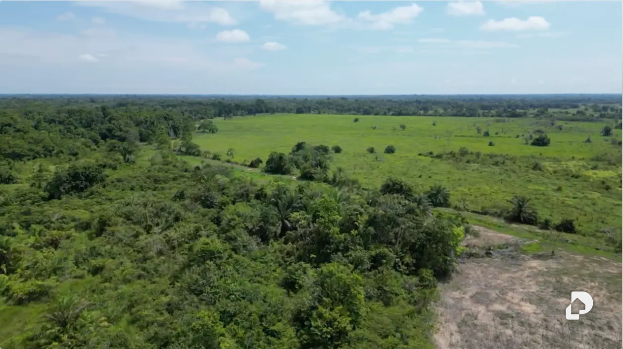 Finca en Caño Motilón, El Guayabo – 9