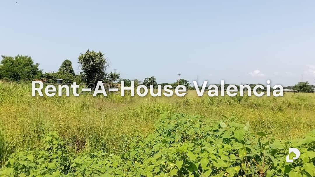 Terreno en Flor Amarillo, Valencia – 3