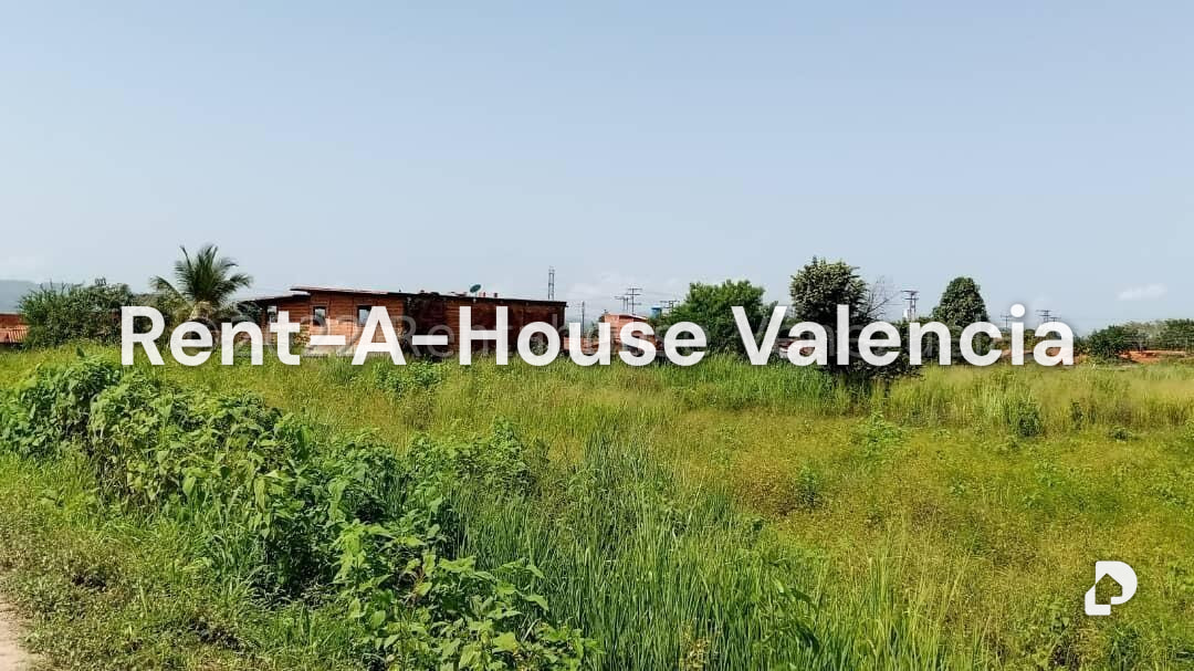 Terreno en Flor Amarillo, Valencia – 9