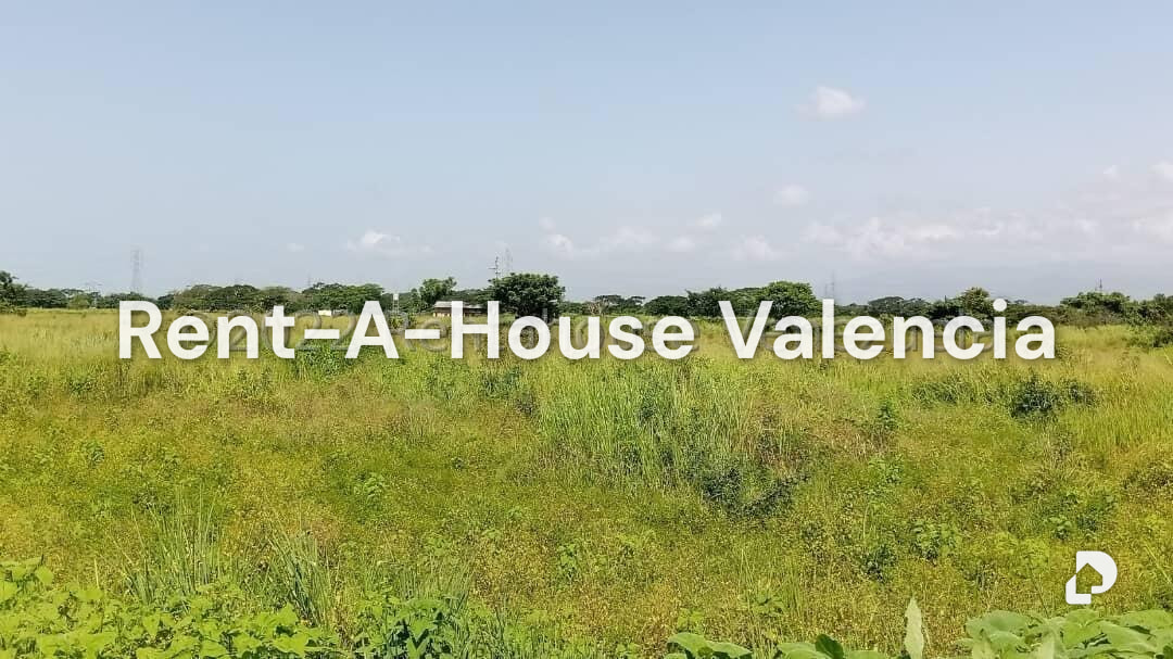 Terreno en Flor Amarillo, Valencia – 1