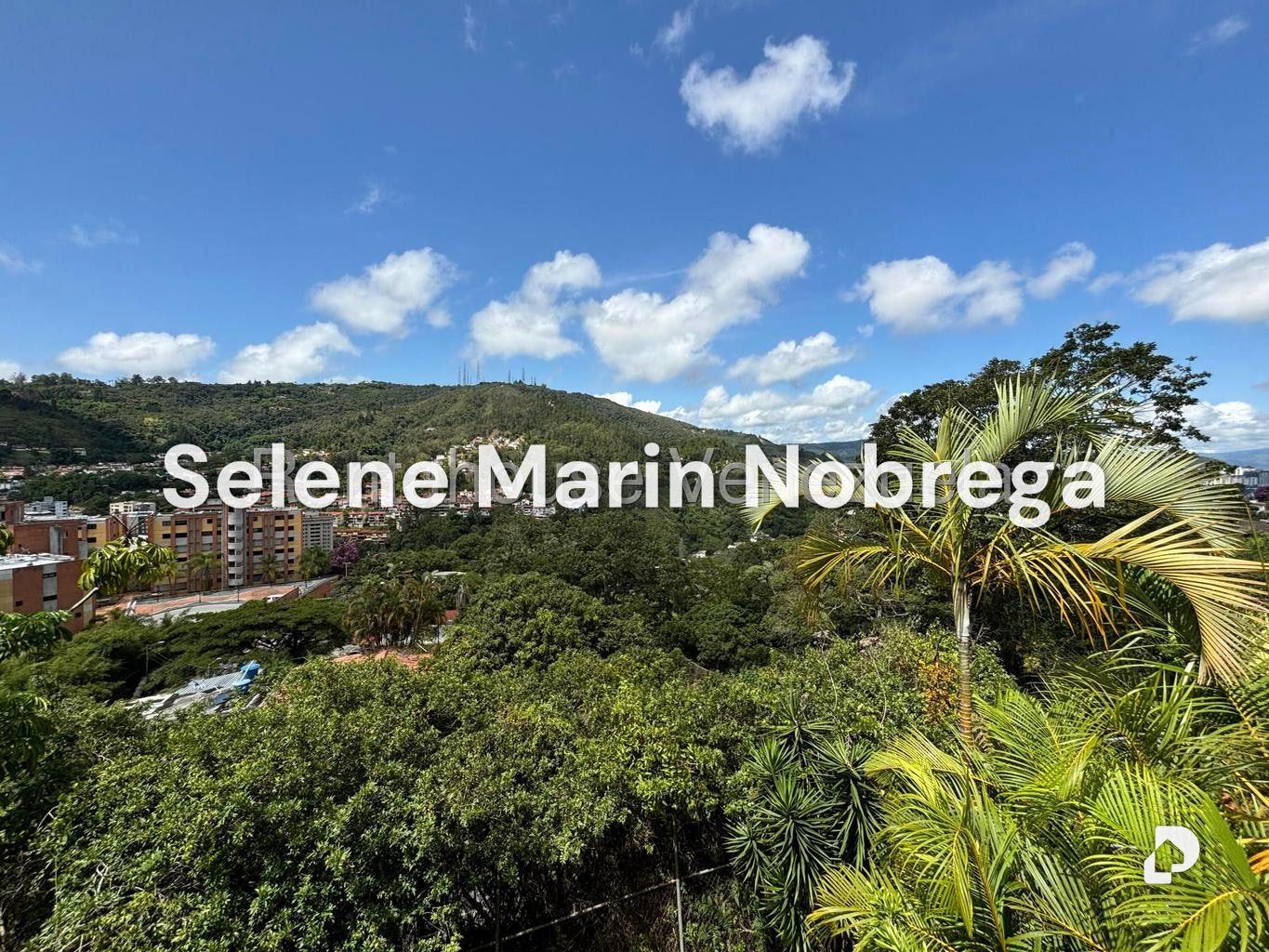 Apartamento en Los Naranjos (del Cafetal), Caracas – 19