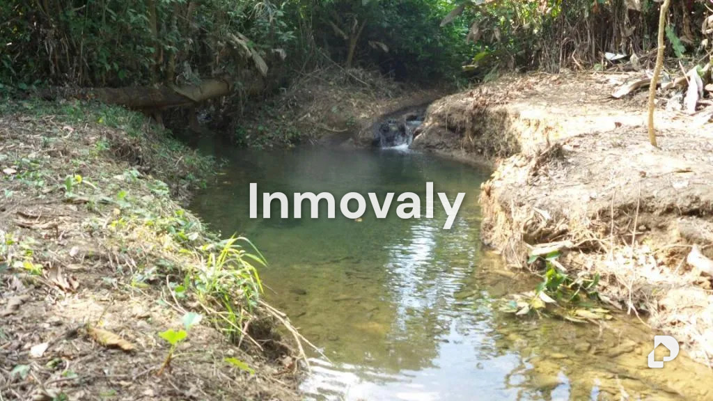 Finca en Taguanes, Tinaquillo – 6