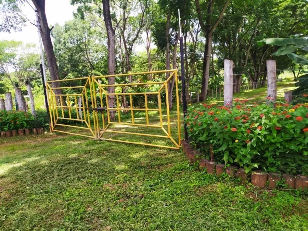 Farm in Tinaquillo - 1