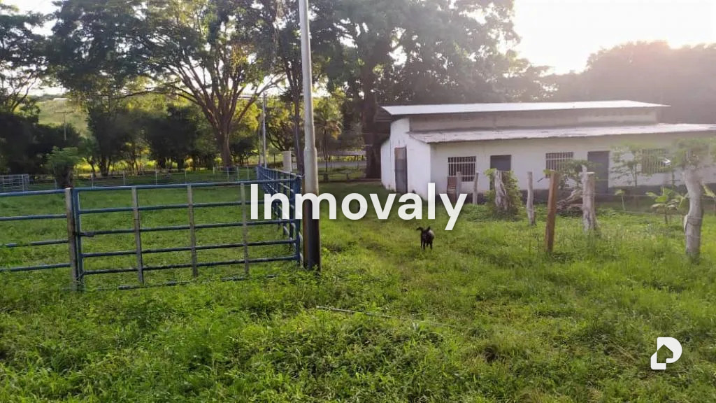 Finca en Taguanes, Tinaquillo – 2