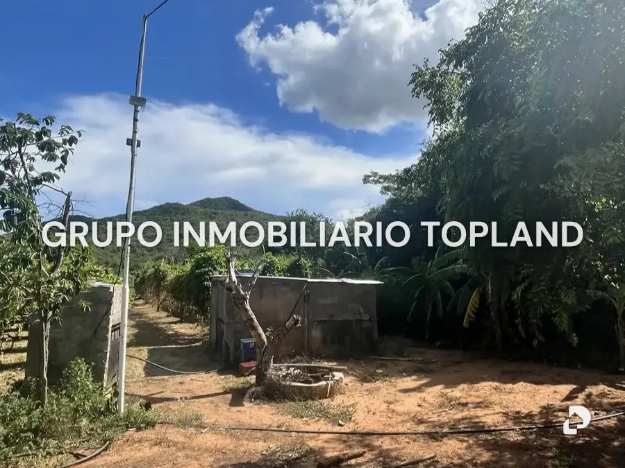 Finca en Arismendi, La Asunción – 5