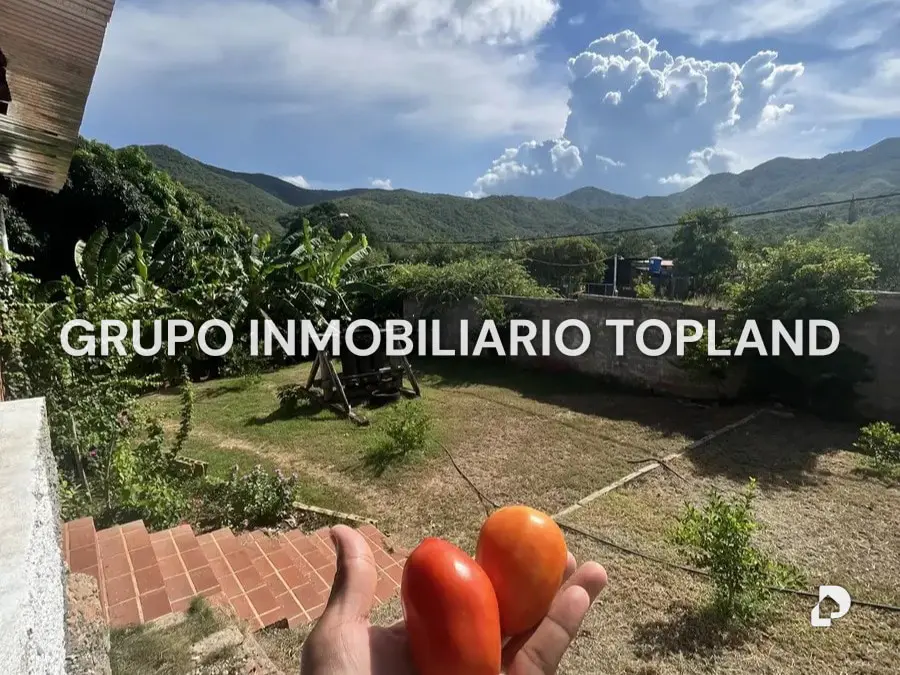 Finca en Arismendi, La Asunción – 2