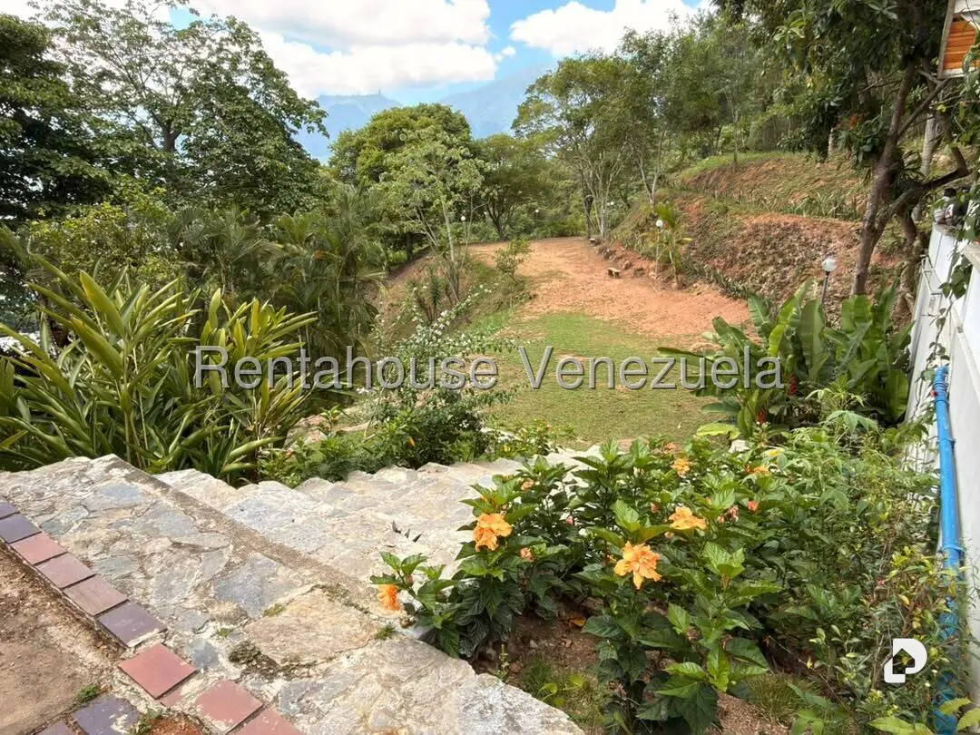 Apartment in Las Mercedes, Caracas – 32