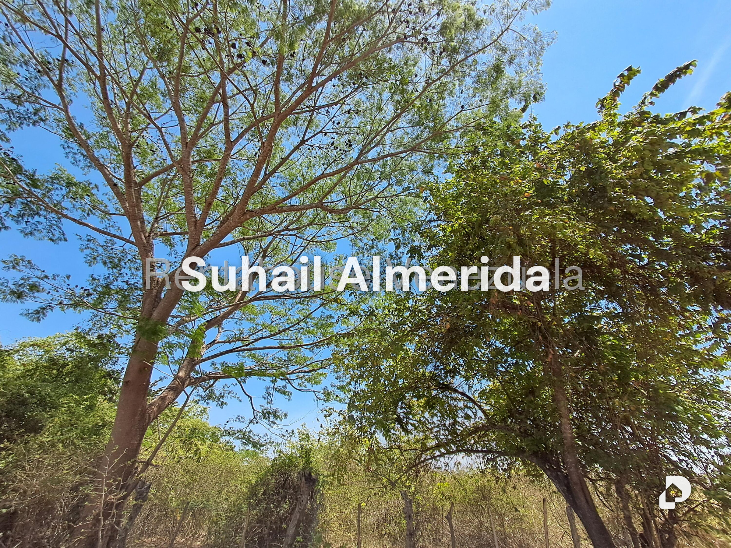 Finca en Tocuyito, Valencia