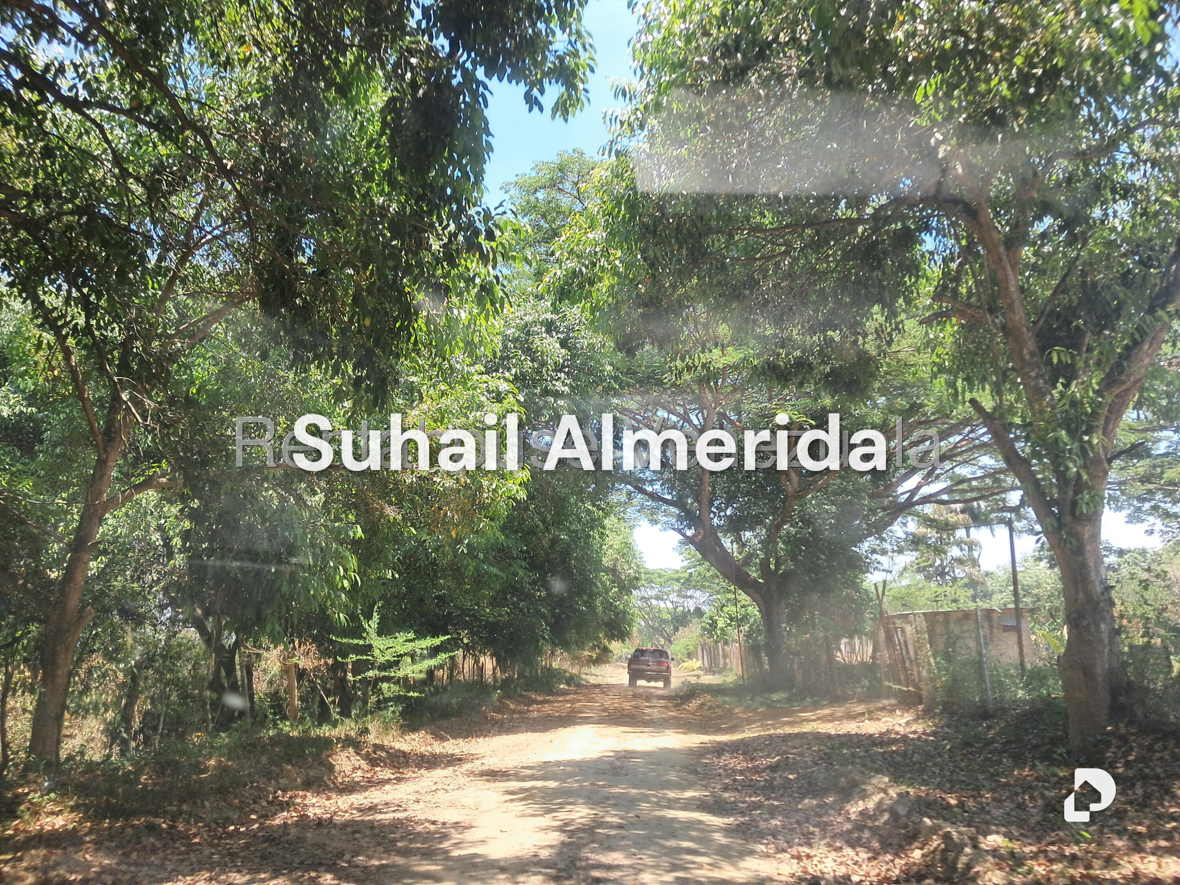 Finca en Tocuyito, Valencia