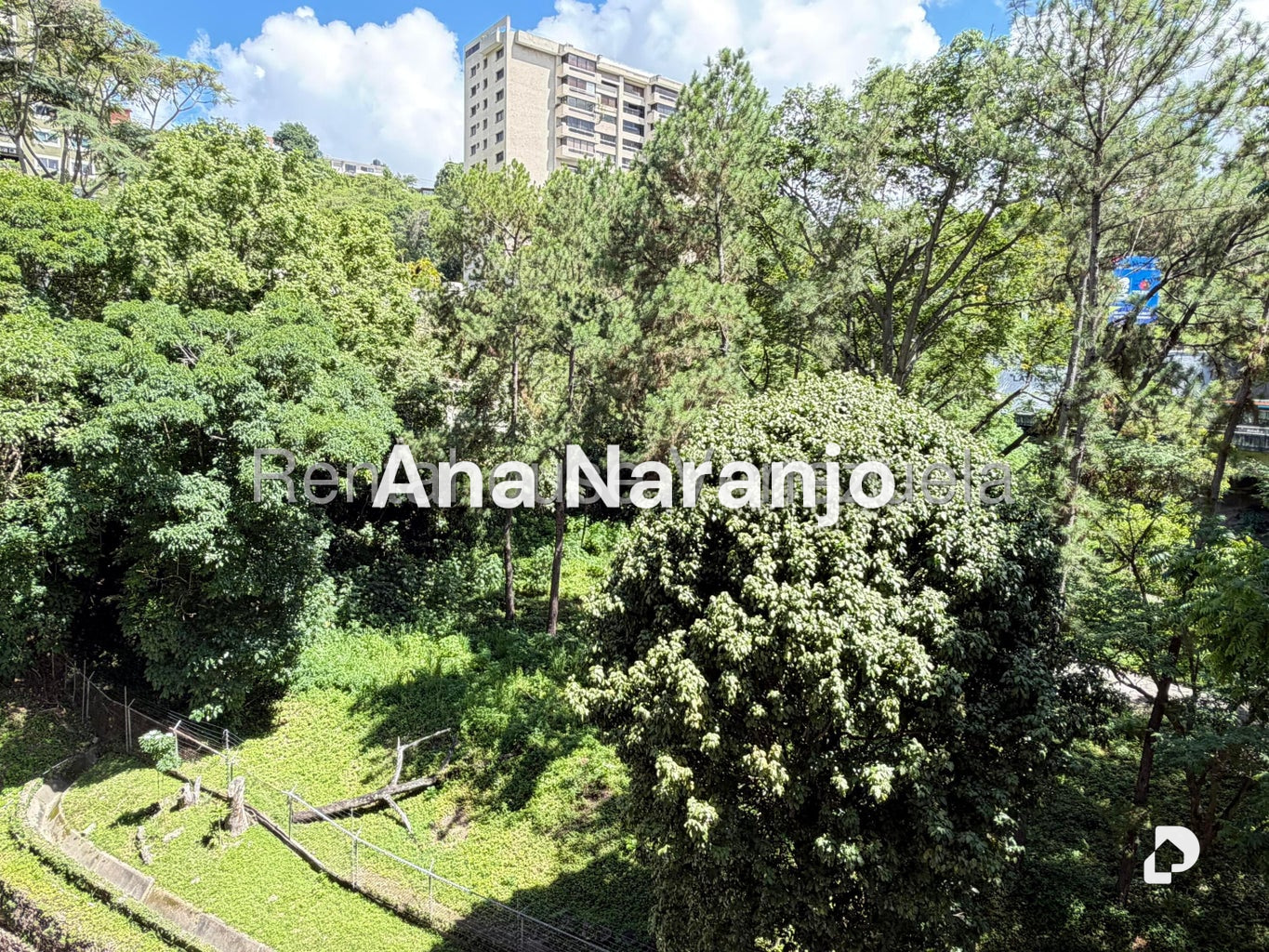 Apartamento en Terrazas del Club Hípico, Caracas – 5