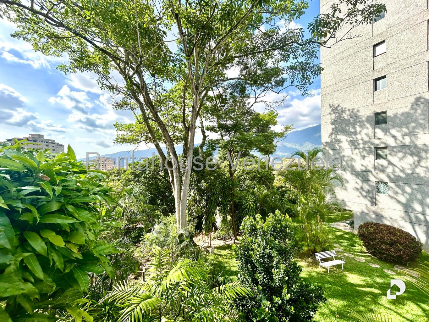 Apartamento en Colinas de Bello Monte, Caracas – 26