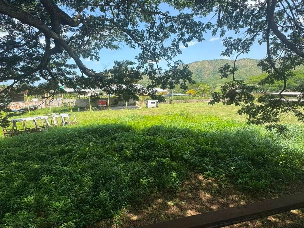 Land in Villas de Los Morros, San Juan de los Morros - 1