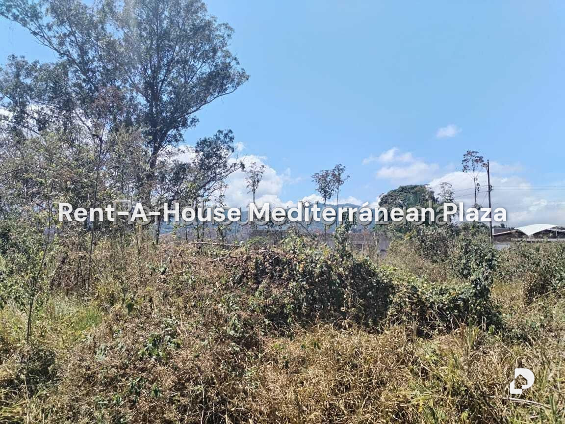 Terreno en Carialinda, Naguanagua – 5