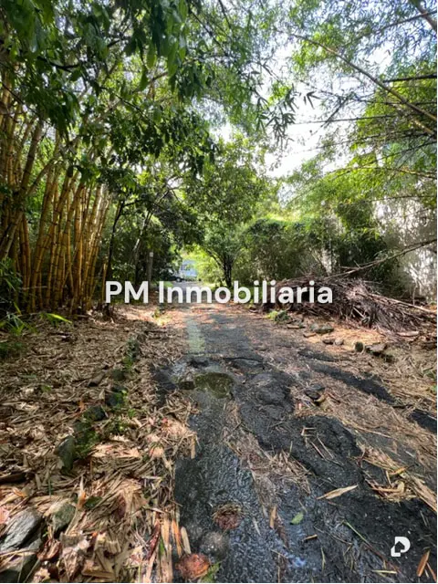 House in Los Palos Grandes, Caracas – 8
